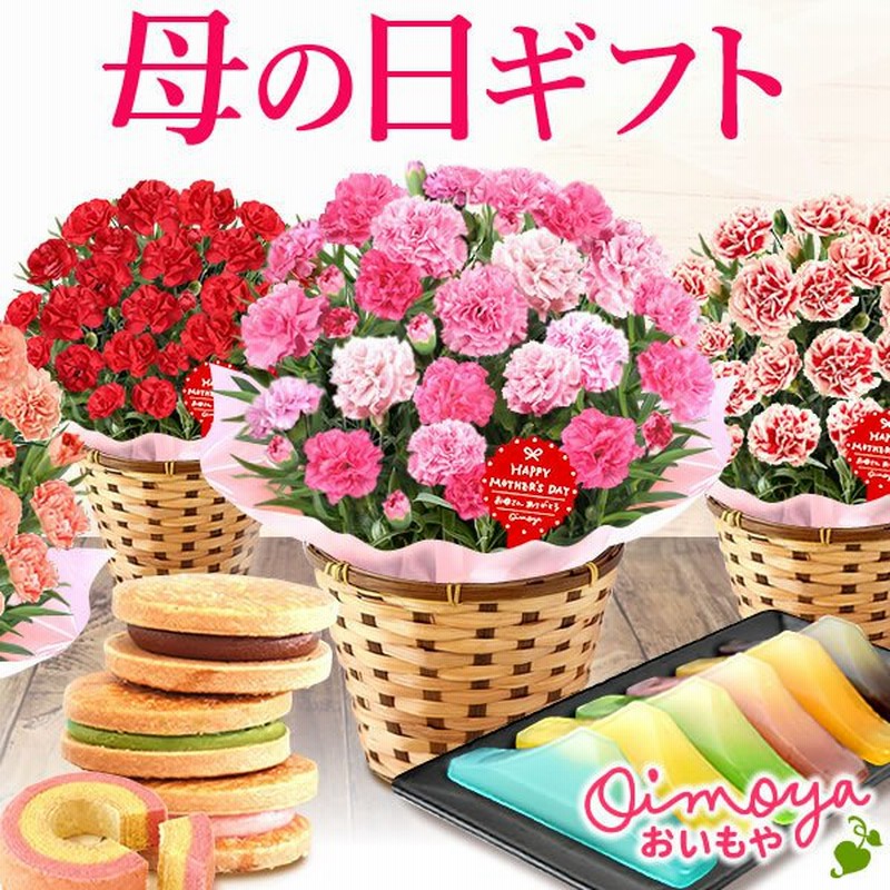 母の日 22 プレゼント スイーツ 花 カーネーション ギフト 鉢植え 5号鉢 お菓子 洋菓子 和菓子 花とスイーツ ギフトランキング 60代 70代 80代 通販 Lineポイント最大0 5 Get Lineショッピング