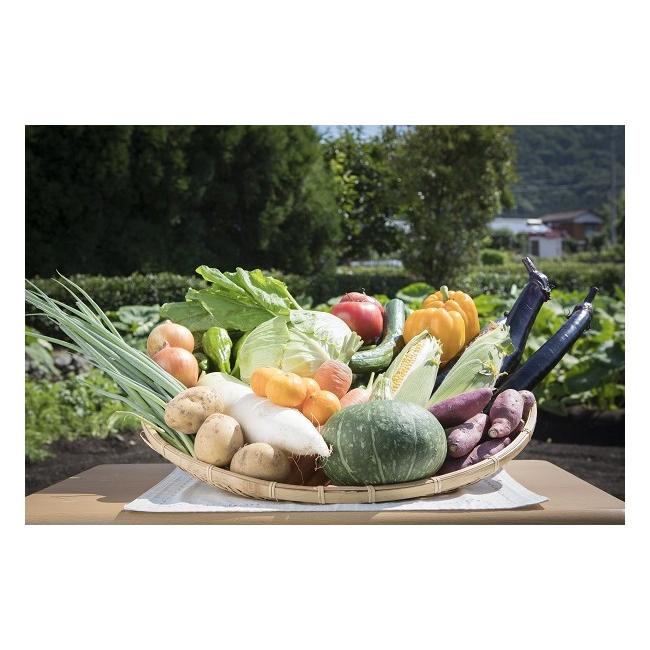 ふるさと納税 愛媛県 西予市 せいよ旬の野菜・果物詰合せセット