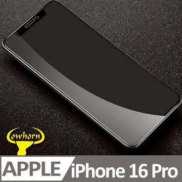 iPhone 16 Pro 2.5D曲面滿版 9H防爆鋼化玻璃保護貼 黑色