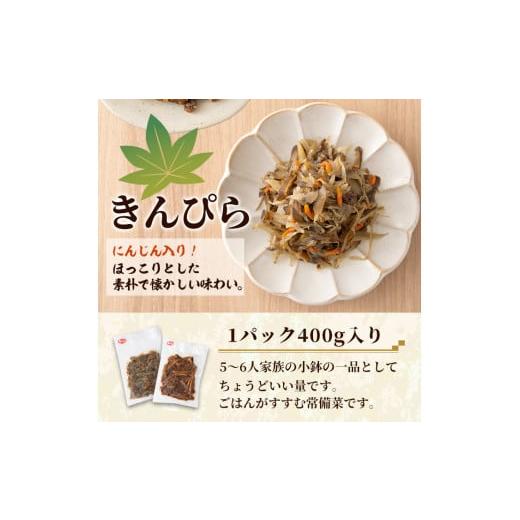 ふるさと納税 鹿児島県 出水市 i792 手作りお惣菜 ごぼう3種セット(400g×5P・計2kg) 