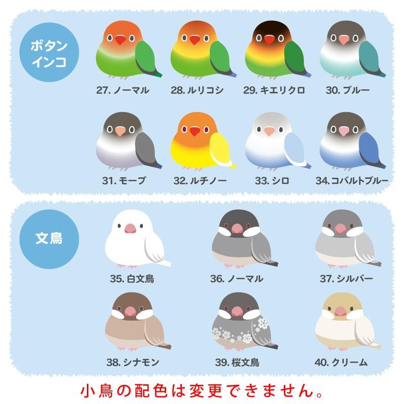 文鳥 セール 水筒