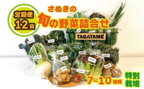 野菜 特別栽培 定期便 セット 12回 1年間 詰め合わせ 栽培期間中農薬不使用 7～10種類 旬の採れたて お野菜 詰め合わせ セット（1～2名様）