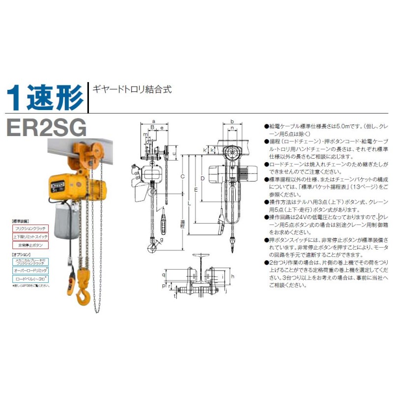 直送品】 キトー 電気チェーンブロック ER2SG 1速形 ER2SG003S-4M (250kg 楊程4m 3点ボタン) LINEショッピング