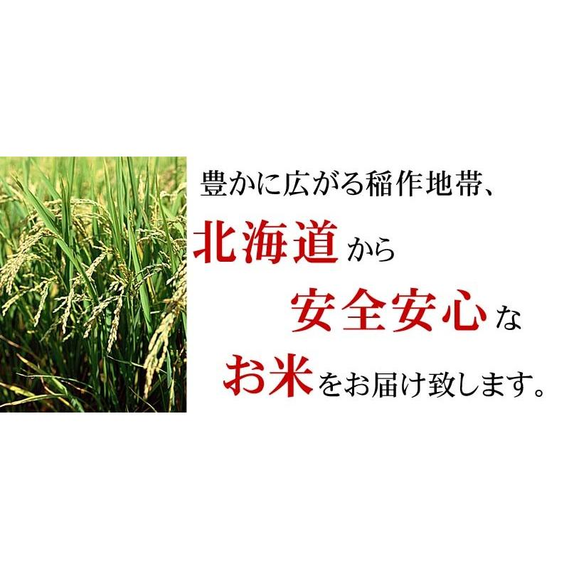 (送料無料)令和5年度 新米 北海道産ななつぼし 5kg 白米、精米　つや、粘り、甘みがバランス良くまとまった和食に合うお米、特A評価のナナツボシです(ギフト)