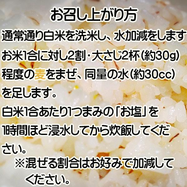 大麦 500g ポイント消化 食物繊維 香川県産