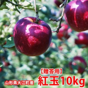 紅玉 りんご 送料無料 10kg 山形 山形県大江町本郷 北山のジュース屋 EM栽培 こうぎょく りんご 美味日本 カロリー 値段 国産 東北 産地