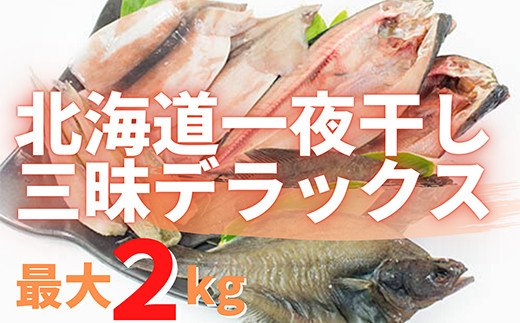 北海道一夜干し三昧デラックス 最大2kg 計10尾 訳あり 一夜干し 事業者支援 中国禁輸措置