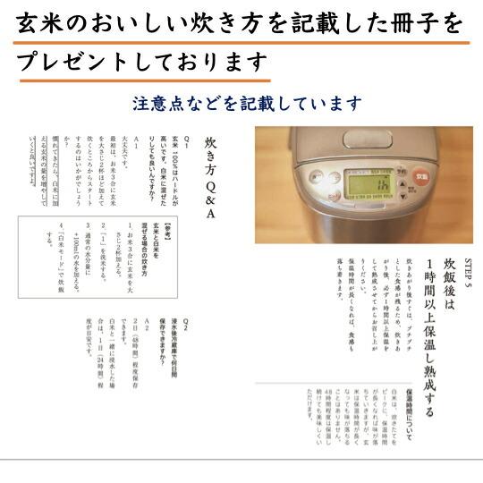 褒美玄米 150g 農薬不使用 令和4年産 お米 富山県産 滋賀県産 お米 おすすめ 玄米