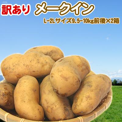 メークイン 訳あり 北海道 じゃがいも L-2Lサイズ9.5-10kg前後×2箱 送料無料 ※沖縄は送料別途加算 メークイン 御歳暮 クリスマス 正月