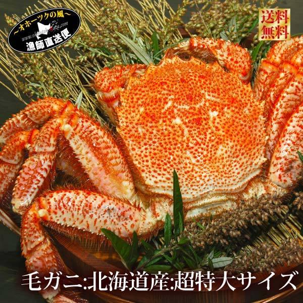 超特大 ボイル 毛蟹 1.2キロ 北海道産 数量限定 けがに ケガニ 毛蟹 特大サイズ 毛ガニ 北海道 父の日