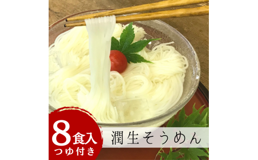 潤生そうめん8食入り