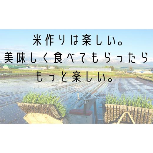 ふるさと納税 北海道 上富良野町 ◆10ヵ月連続定期便◆ゆめぴりか 無洗米 5kg ／北海道 上富良野産 〜It's Our Rice〜