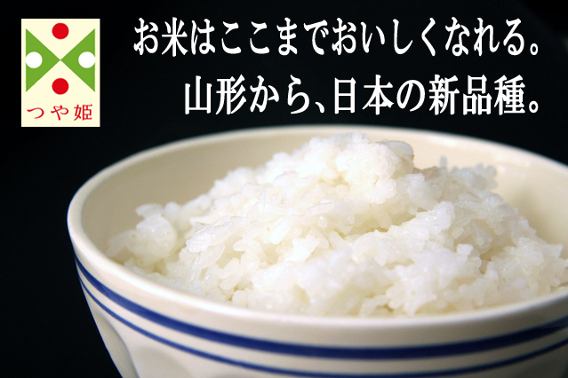 新米 お米 10kg つや姫 玄米 山形県 庄内産 一等米 特別栽培米 5kg×2袋 送料無料 令和5年産 内祝い