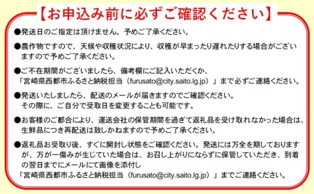 宮崎県産完熟マンゴー3L×2個　合計900g程度　2024年発送＜1.5-132＞