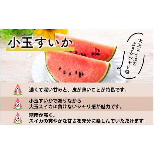 ふるさと納税 福井県 あわら市 日を分けて2度楽しめる！小玉すいか・おすすめメロン 2種セット(2玉入)  ／ 期間限定 果物 フルーツ 産地直送 青肉…