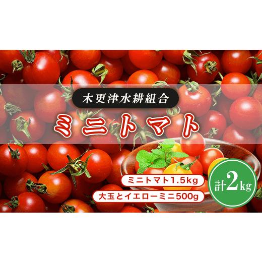 ふるさと納税 千葉県 木更津市 KBD001 ミニトマト1.5kg　大玉とイエローミニ500g 計2kg＜木更津水耕組合＞ ミニトマト 千葉県 木更津 送料無料