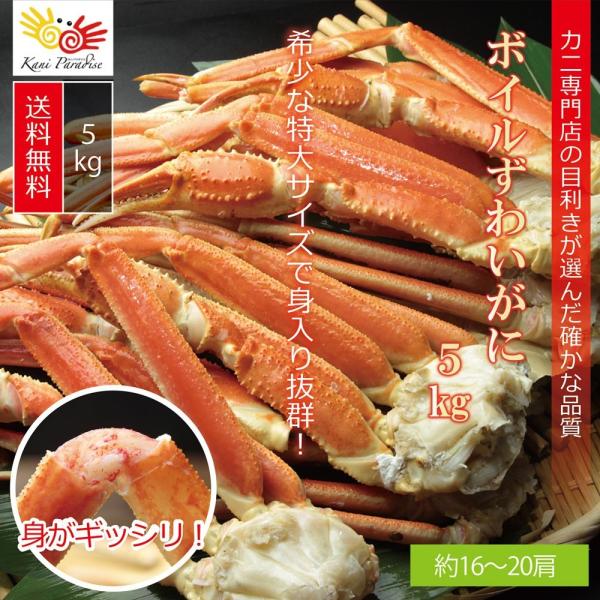 かに カニ 蟹 ずわいがに 特大 メガ盛り 5kg 約16肩から約20肩 業務用 ズワイガニ ボイルずわいがに ボイルズワイガニ