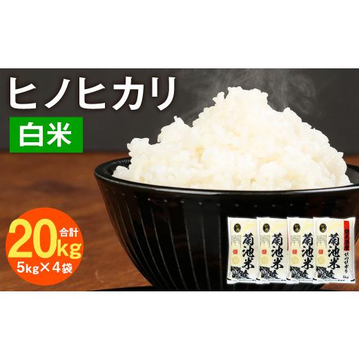 ふるさと納税 熊本県 菊池市 熊本県菊池産 ヒノヒカリ 5kg×4袋 計20kg 精米 お米 白米 令和5年産