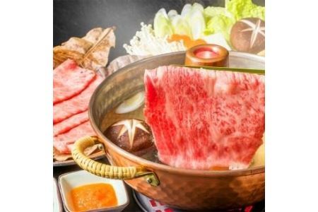 博多和牛 しゃぶしゃぶ すき焼き 用 500g 牛肉 福岡県 糸田町