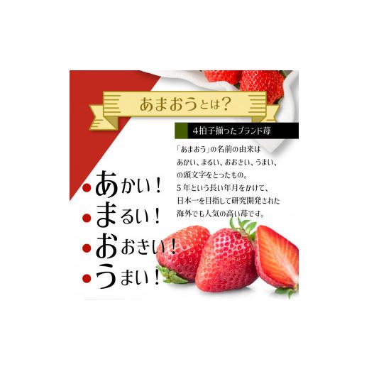 ふるさと納税 福岡県 久留米市 農家直送 朝採り新鮮いちご約270g×4パック