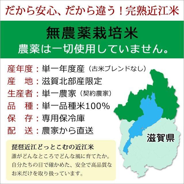 新米 米 お米 5kg にこまる 無農薬 令和5年産 2023年産 寿丸 吉田農園 滋賀産 白米 玄米 送料無料