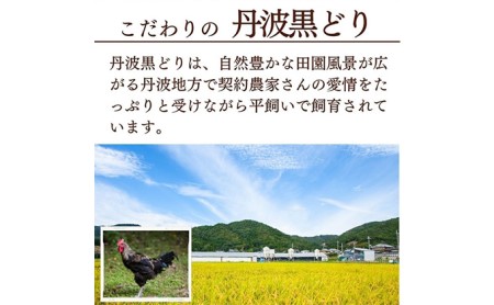 地鶏丹波黒どりと京都府産黒大豆のキーマカリー 6箱 鶏肉 レトルトカレー 6人前 黒豆 常温 キーマカレー ご当地 丹波山本 チキン