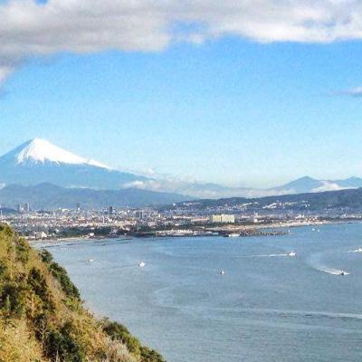 ふるさと納税 静岡市 しずまえギフト駿河湾産生桜えび生しらすセット(冷凍桜えび70g冷凍しらす100g×各3パック)