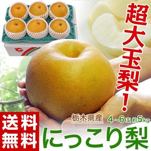 106.栃木県産採りたて梨みずみずしいなし　梨　小玉　箱込み5kg 家庭用美品