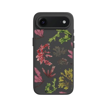 iPhone Air SolidX 黑 - The Seaweed Studio - 海之拓印