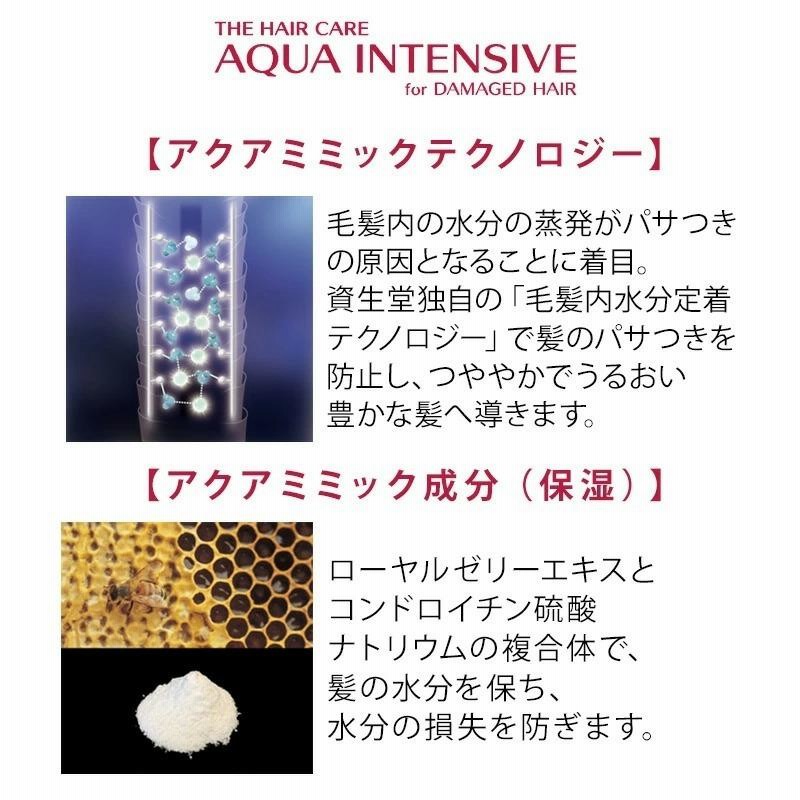 資生堂プロフェッショナル アクアインテンシブ マスク 680g×2個 資生堂プロフェッショナル アクアインテンシブ マスク 680g×2個