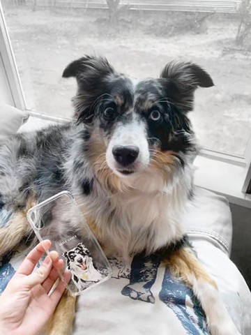 個性化手工寵物自畫像手機殼 客製化手繪iPhone手機殼毛孩子肖像