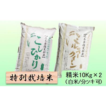 ふるさと納税 特別栽培米★精米20kg（白米 5分 7分ツキ可） 玄米は別に出品 白米 岐阜県池田町