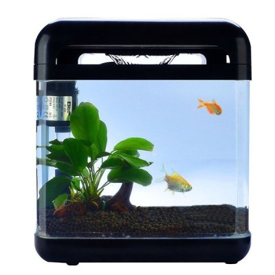 生き物飼育セット ガラス水槽 スポンジフィルター Ledライト 熱帯魚 Tonosycolores Com