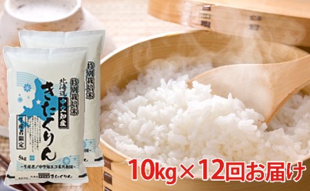 北海道赤平産 きたくりん 10kg (5kg×2袋) 特別栽培米  精米 米 北海道 定期便
