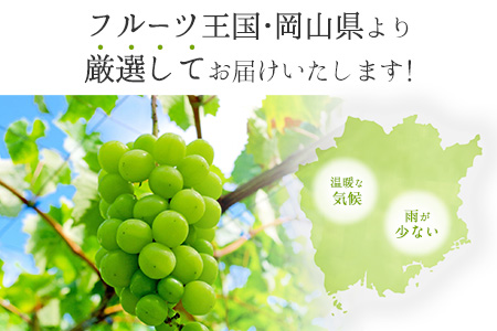 訳あり シャインマスカット 岡山 約2kg 3～5房 お届け フルーツ 果物 岡山県産 秋旬 数量 限定 2房 シャイン マスカット 訳あり 傷 大粒から小粒まで不揃い 《9月中旬～11月中旬頃に順次出荷(土日祝除く)》