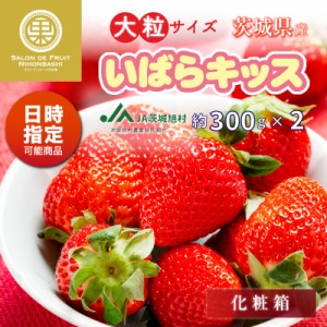 [予約 2024年1月5日-1月30日の納品] いばらキッス 約300g×2 2L3L 大粒 茨城県産 上級品 いちご