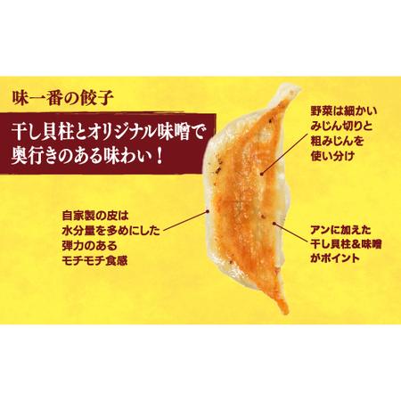 ふるさと納税 　餃子24個入り×2箱 栃木県宇都宮市