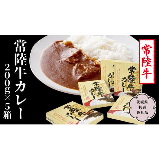 ふるさと納税 茨城県 桜川市 常陸牛 カレー 200g×5箱 レトルトカレー パウチ 国産 銘柄 お手頃 総菜 簡単 グルメ 料理 茨城県 [CV009sa]…