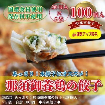 ふるさと納税 宇都宮市 宇都宮餃子　那須御養鶏の餃子100個　保存料不使用