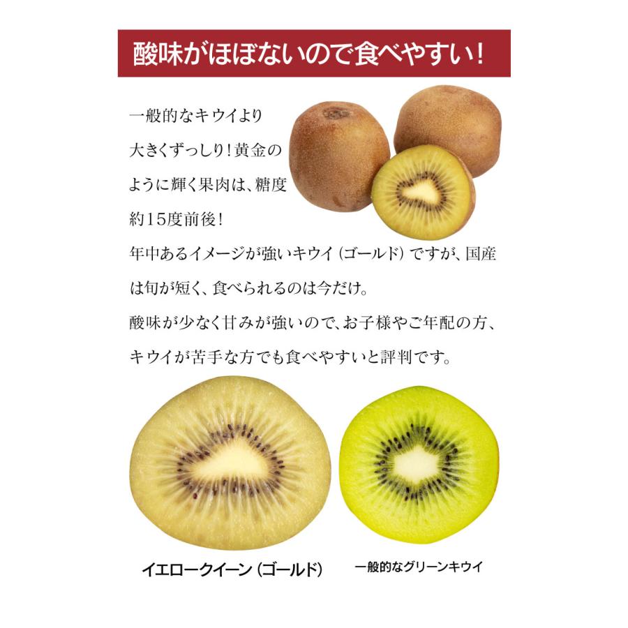 キウイ ゴールド 2kg 送料無料  ＜11月上旬より順次出荷＞ 国産 イエロークイーン さぬきゴールド 熊本産 産地直送 大嶌屋（おおしまや）