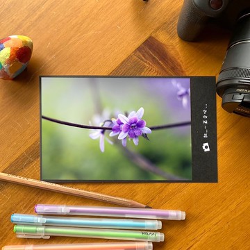 手工限量明信片-許願藤花語/台灣小物攝影