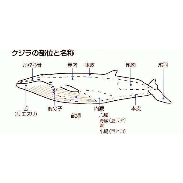 ナガス 鯨 畝須 クジラベーコン 肉付 100g アイスランド産 ナガスクジラ