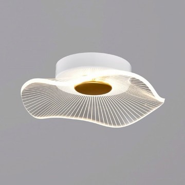 10W 3000K單吸頂燈  L01-1955