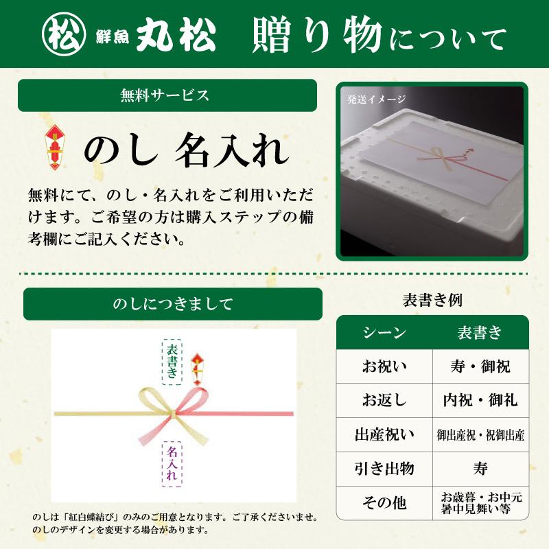 かに カニ 蟹 訳あり せいこ蟹 セイコガニ セコガニ 越前蟹 姿 送料無料 福井 取り寄せ お歳暮 ギフト プレゼント お祝い 普通サイズ 150g前後 10杯