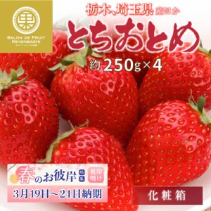 [予約 2024年1月5日-1月30日の納品] とちおとめ 約 250g×4 栃木県産他 果実専用箱いちご