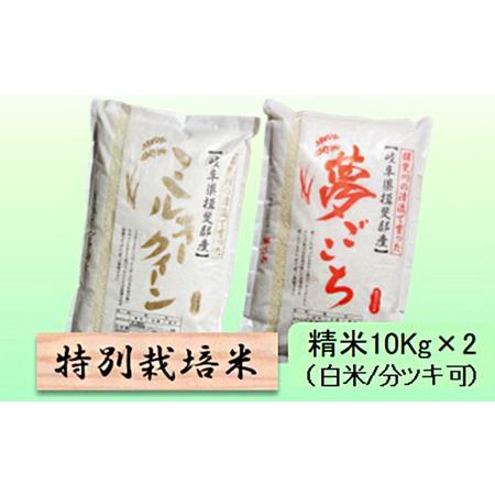 ふるさと納税 特別栽培米★精米20kg（白米 5分 7分ツキ可） 玄米は別に出品 5分ヅキ 岐阜県池田町