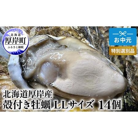 ふるさと納税 北海道 厚岸産 殻付き 牡蠣 LLサイズ 14個 お中元 特別選別品 北海道厚岸町