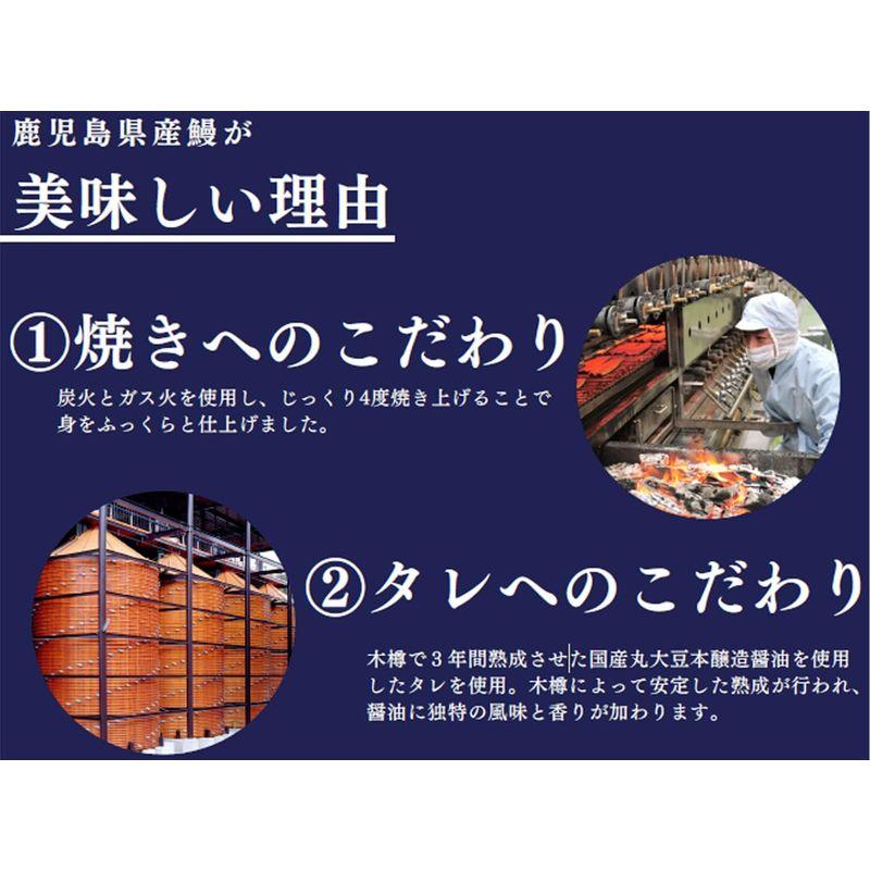 鹿児島県産 うなぎ 蒲焼き (120g×2パック) タレ 山椒 別添 冷凍 国産 鰻