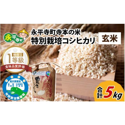 ふるさと納税 福井県 永平寺町 令和5年産 新米 無農薬・化学肥料不使用 永平寺町寺本の米 特別栽培コシヒカリ 玄米 5kg [B-027009]