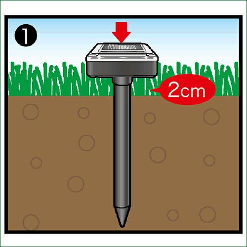 ソーラー式 モグラ撃退器 入 もぐら防除 音波振動